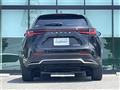 2025 Lexus NX