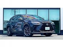 2025 Lexus NX