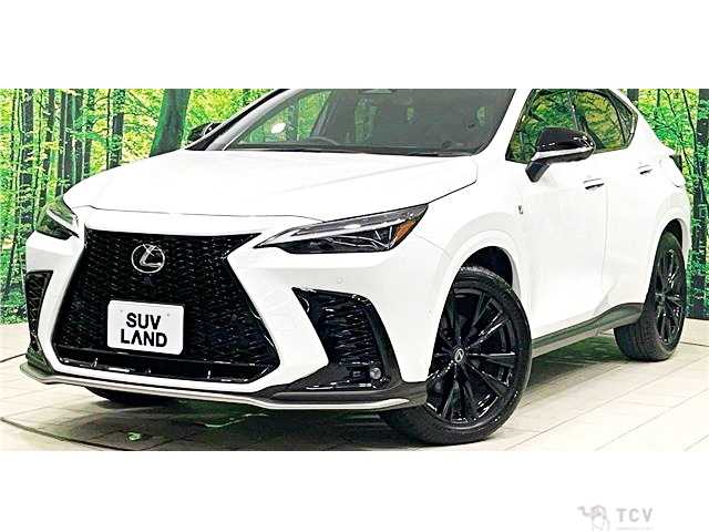 2025 Lexus NX