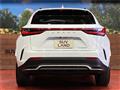 2025 Lexus NX