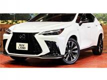 2025 Lexus NX