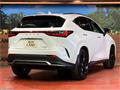 2025 Lexus NX