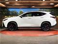 2025 Lexus NX