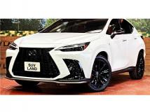 2025 Lexus NX