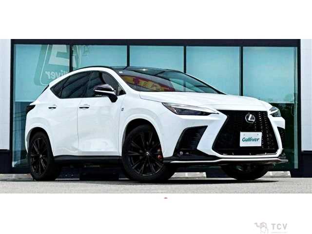 2025 Lexus NX