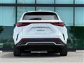 2025 Lexus NX