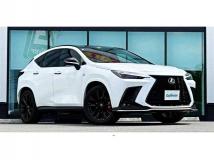 2025 Lexus NX