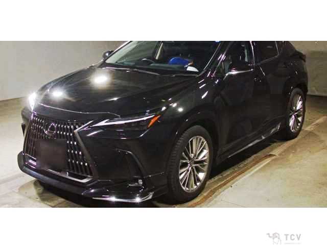 2025 Lexus NX