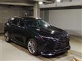 2025 Lexus NX