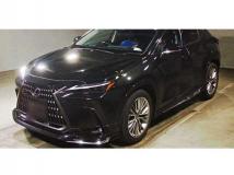 2025 Lexus NX