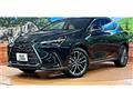 2025 Lexus NX