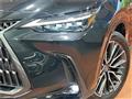 2025 Lexus NX