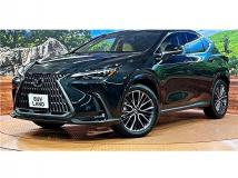 2025 Lexus NX