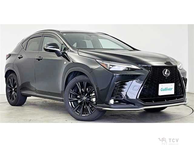 2025 Lexus NX