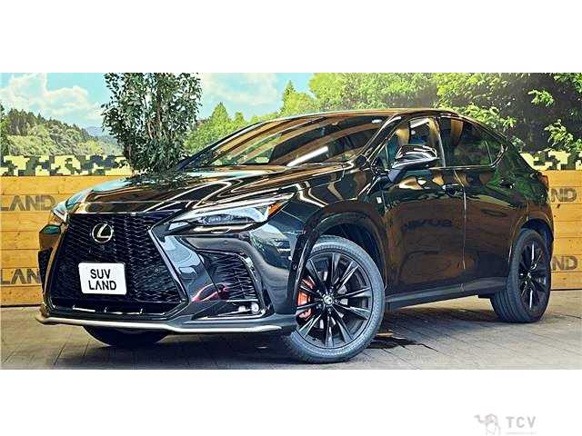 2025 Lexus NX