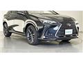 2025 Lexus NX