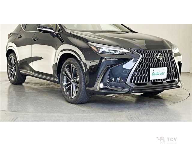 2025 Lexus NX