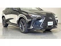 2025 Lexus NX