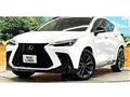 2025 Lexus NX