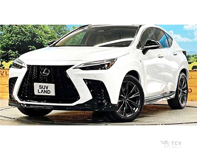 2025 Lexus NX
