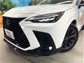 2025 Lexus NX