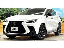 2025 Lexus NX