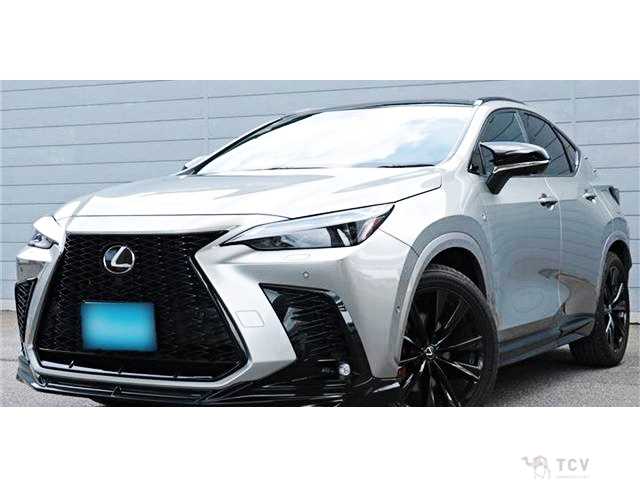 2025 Lexus NX
