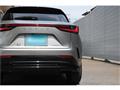 2025 Lexus NX