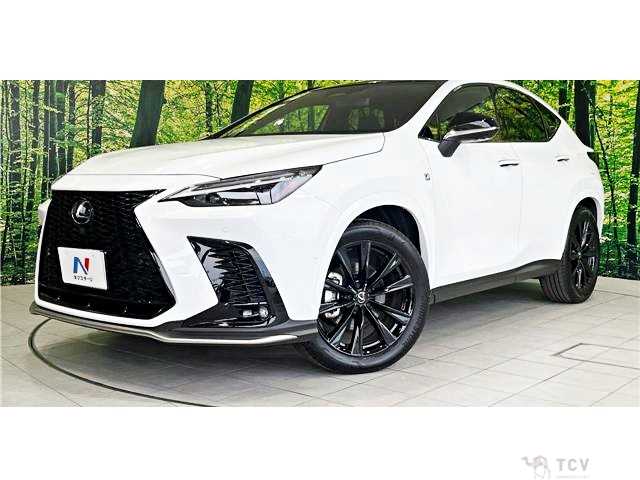 2025 Lexus NX