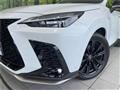 2025 Lexus NX