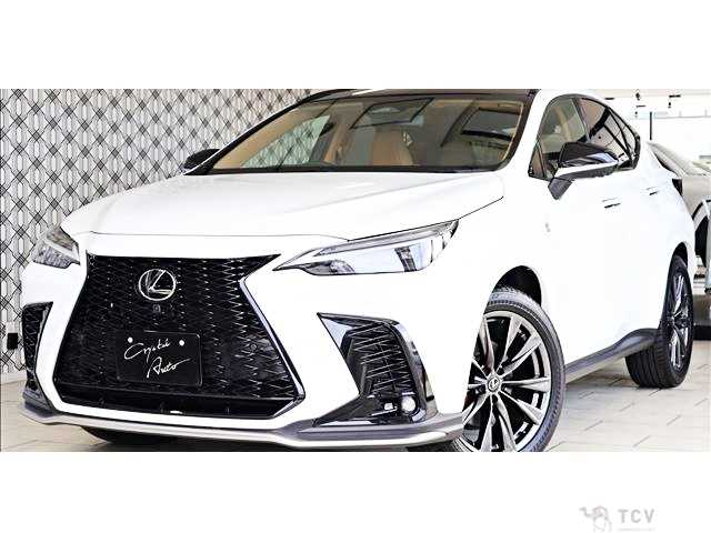 2025 Lexus NX