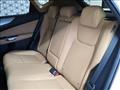 2025 Lexus NX