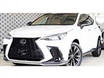 2025 Lexus NX