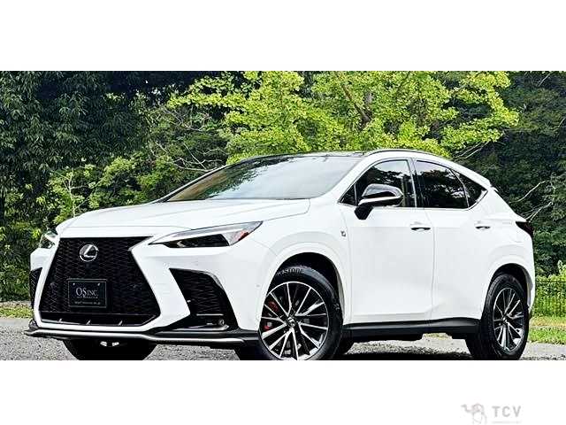 2025 Lexus NX