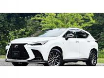 2025 Lexus NX