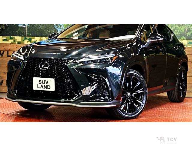 2025 Lexus NX