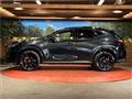 2025 Lexus NX