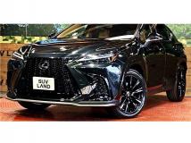 2025 Lexus NX