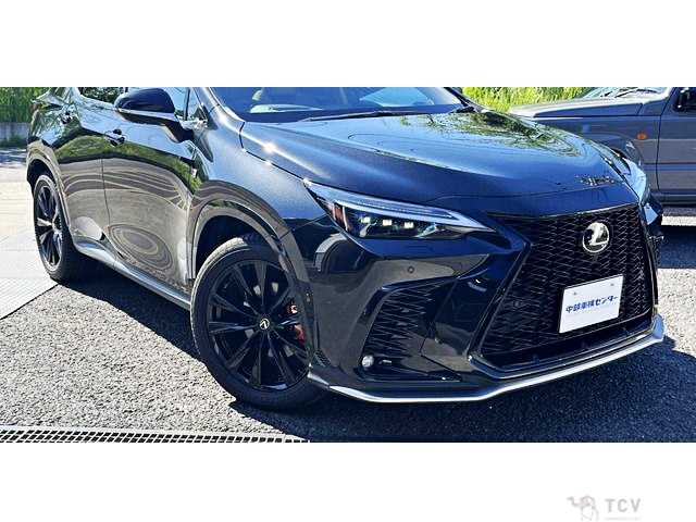 2025 Lexus NX
