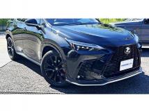 2025 Lexus NX