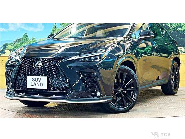 2025 Lexus NX