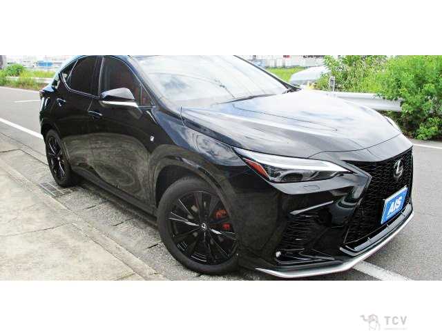 2025 Lexus NX