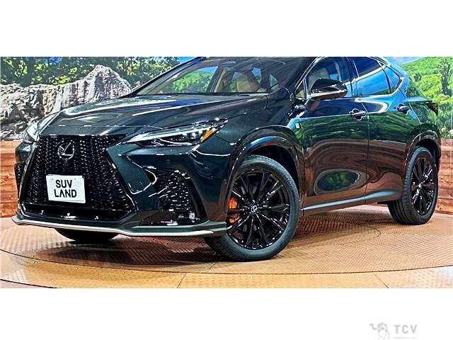 2025 Lexus NX