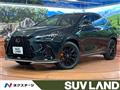 2025 Lexus NX