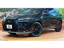 2025 Lexus NX