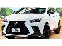 2025 Lexus NX