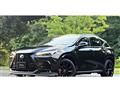 2025 Lexus NX
