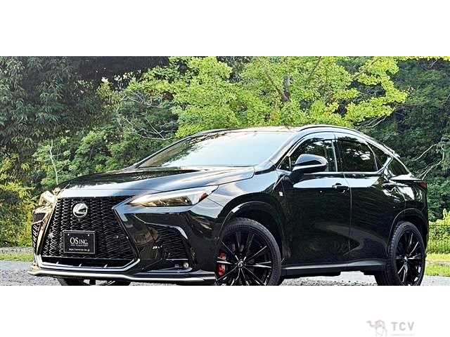 2025 Lexus NX
