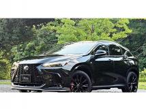 2025 Lexus NX