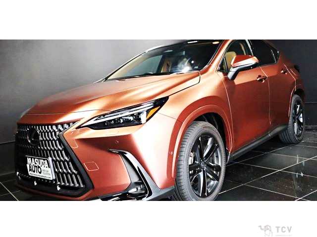 2025 Lexus NX